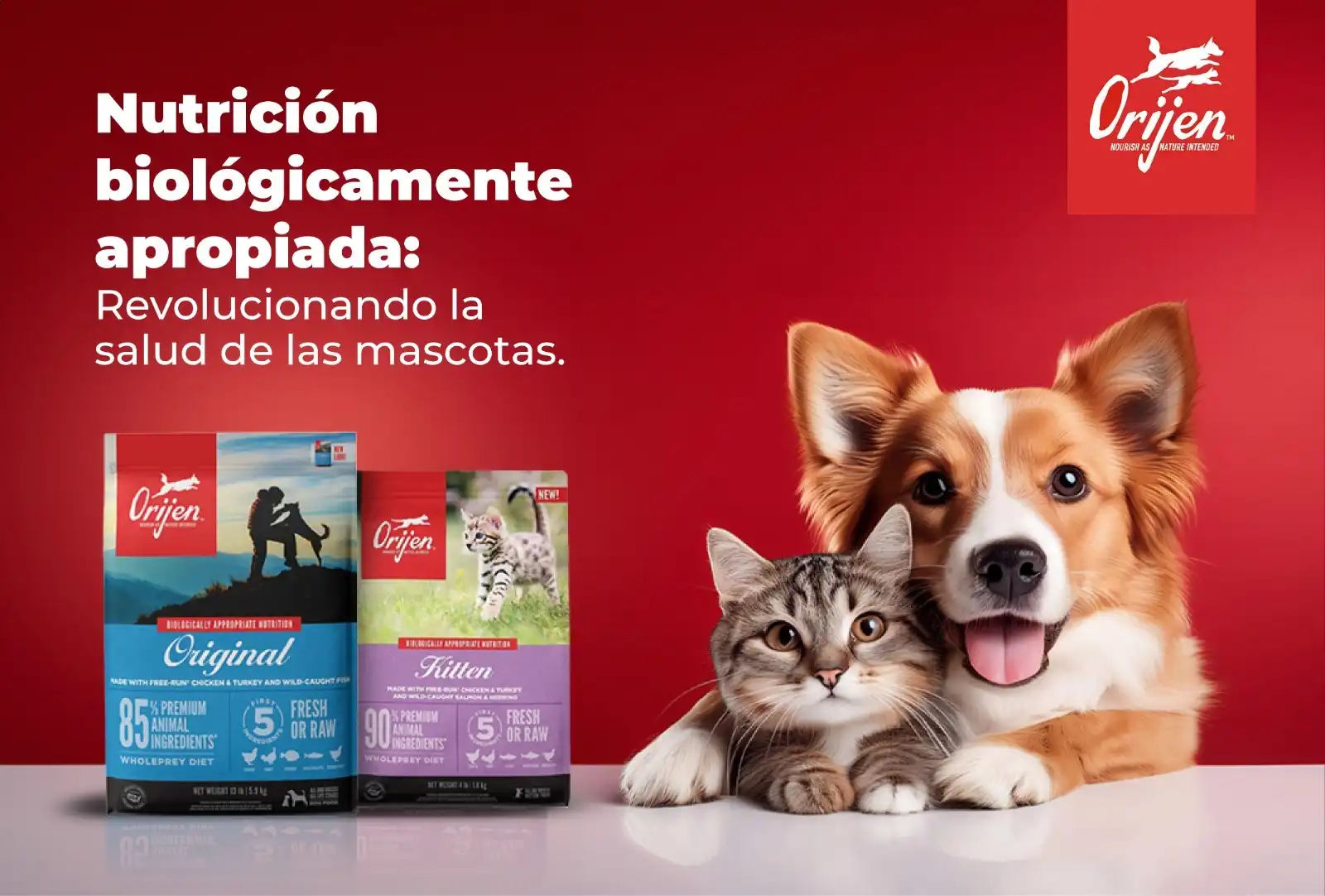 Nutrición Biológicamente Apropiada Revolucionando la Salud de las Mascotas