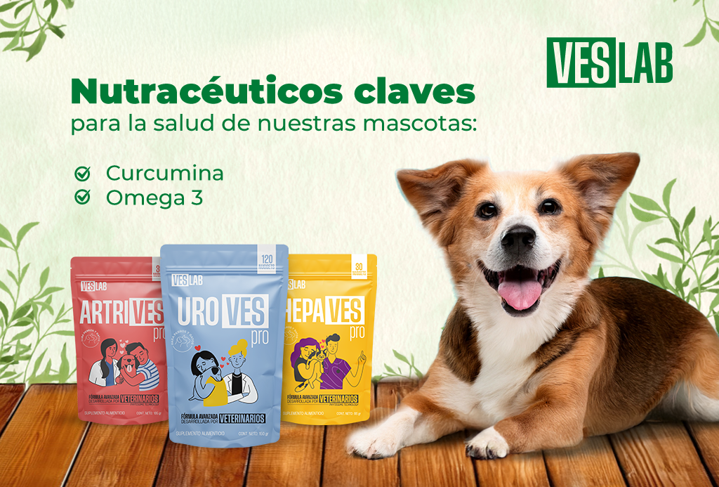 Nutracéuticos Claves para la Salud de Nuestras Mascotas